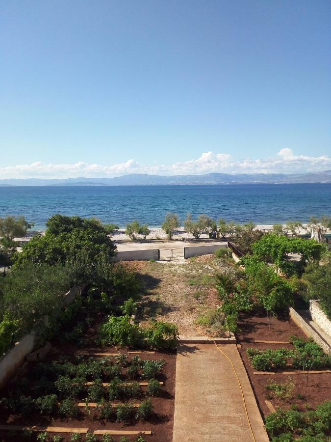 Apartments Zvonimir,Place By The Sea Mirce المظهر الخارجي الصورة
