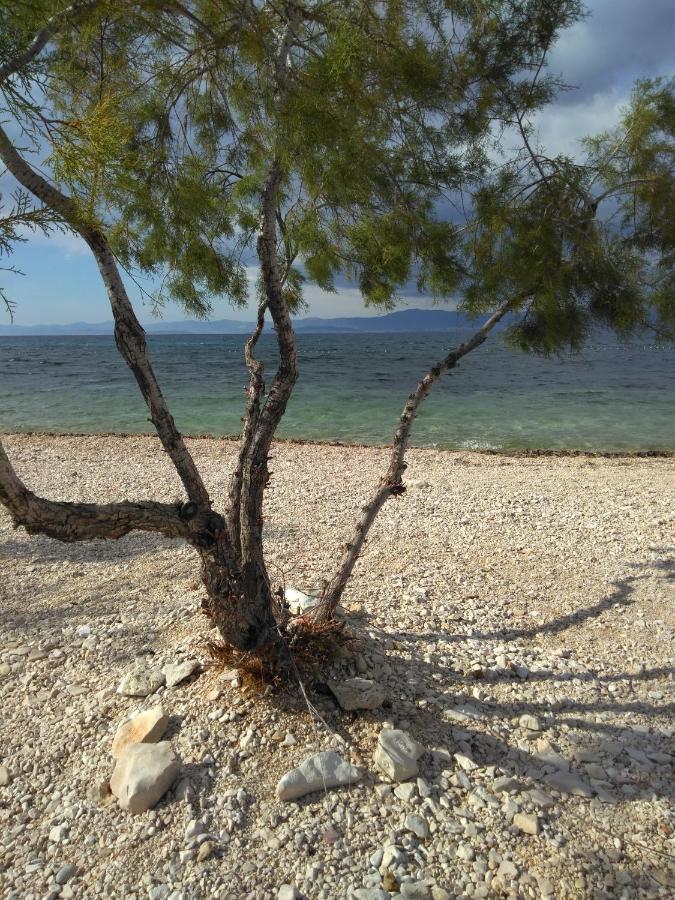 Apartments Zvonimir,Place By The Sea Mirce المظهر الخارجي الصورة